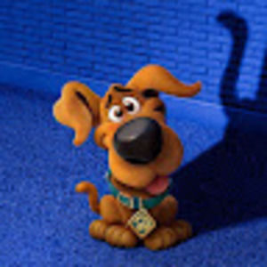 Meet your Posher, Rosevelt